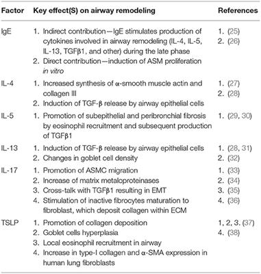 Biological Therapies of Severe Asthma and Their Possible Effects on Airway Remodeling